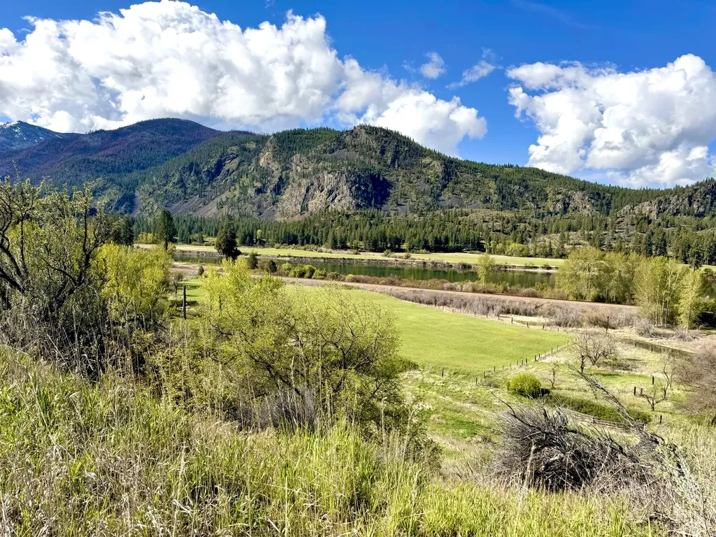 Lot 2 Highway 200 Plains MT 59859