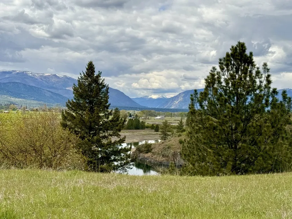 Lot 2 Highway 200 Plains MT 59859