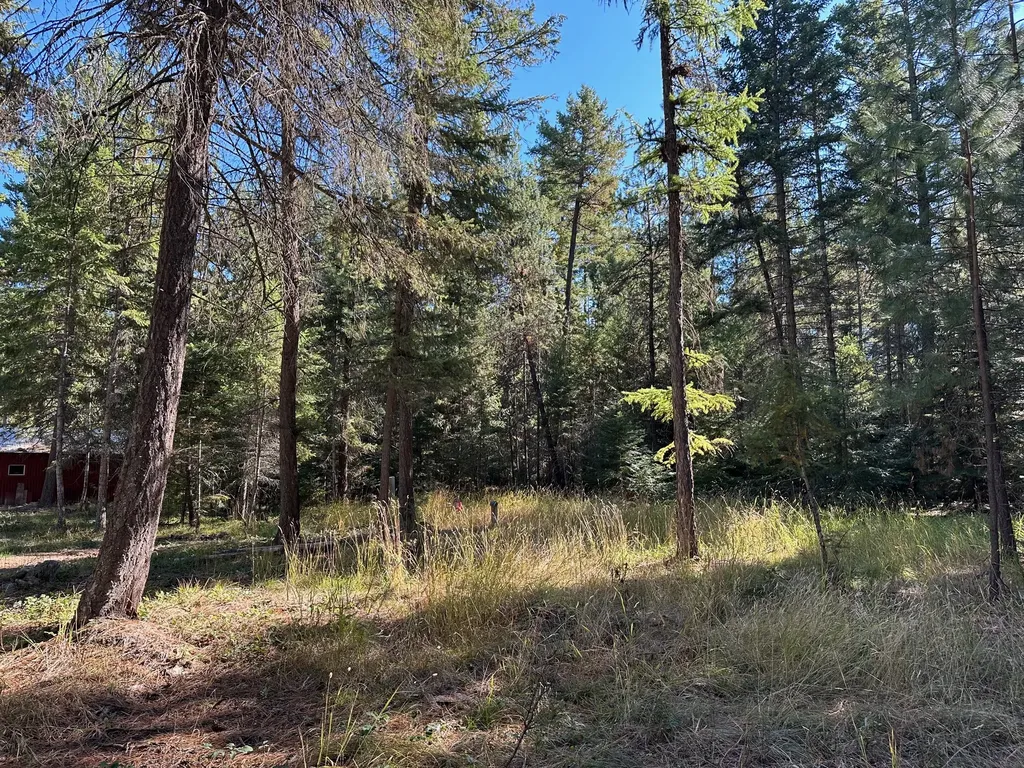 26 Tamarack Lane Thompson Falls MT 59873