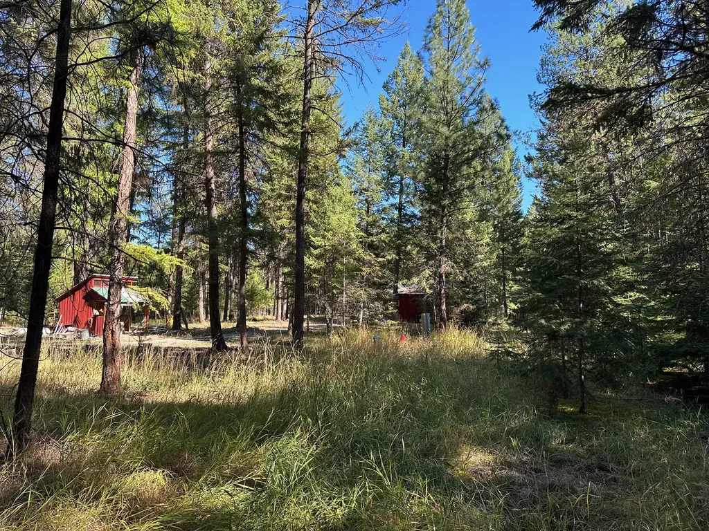 26 Tamarack Lane Thompson Falls MT 59873