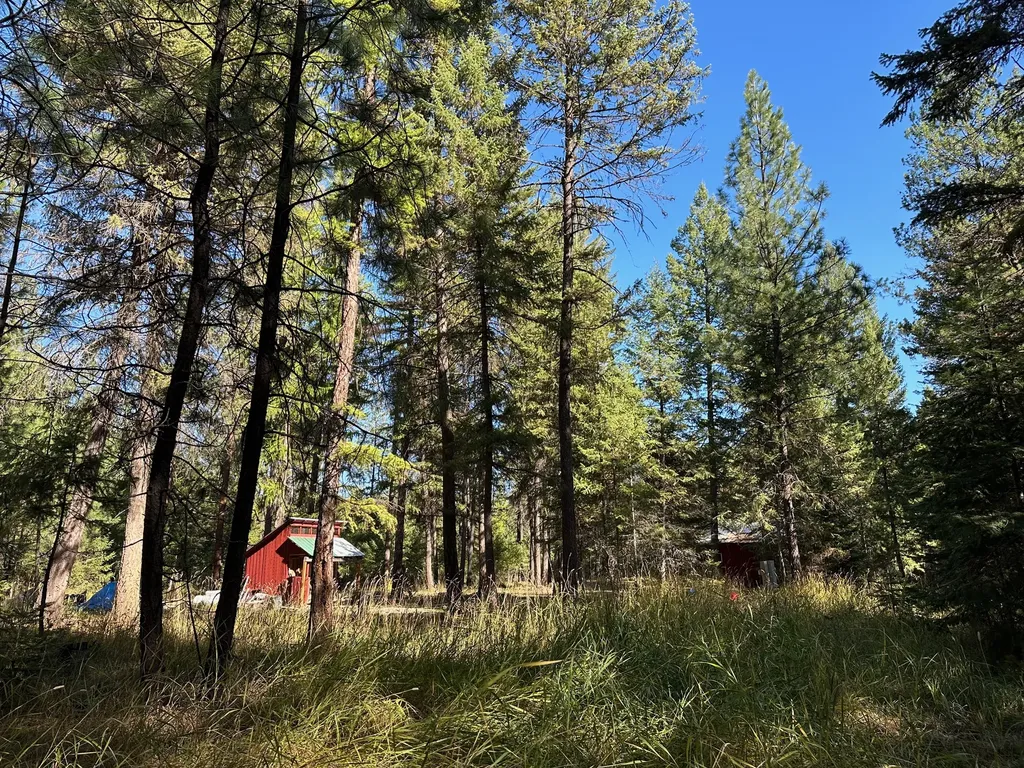 26 Tamarack Lane Thompson Falls MT 59873