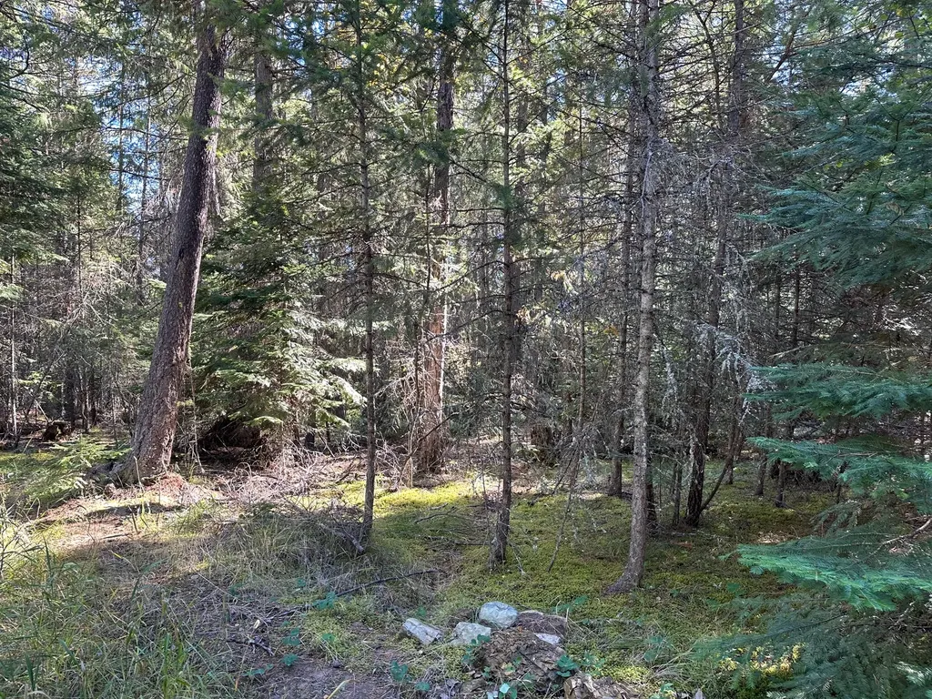 26 Tamarack Lane Thompson Falls MT 59873