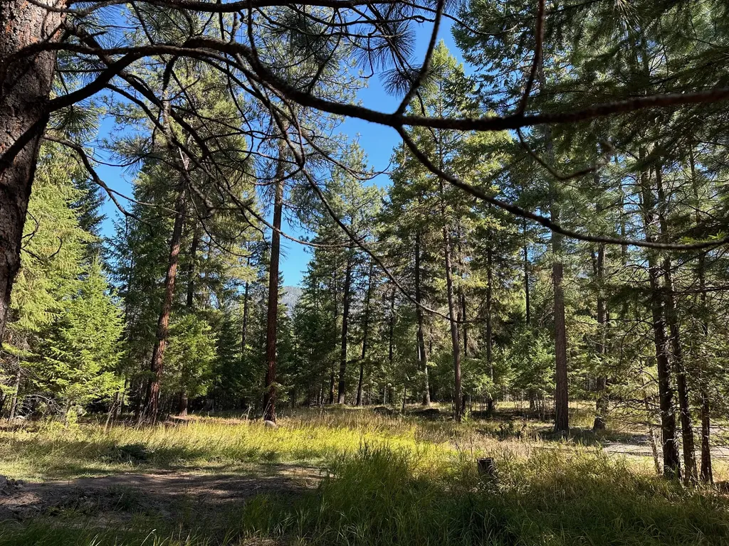 26 Tamarack Lane Thompson Falls MT 59873