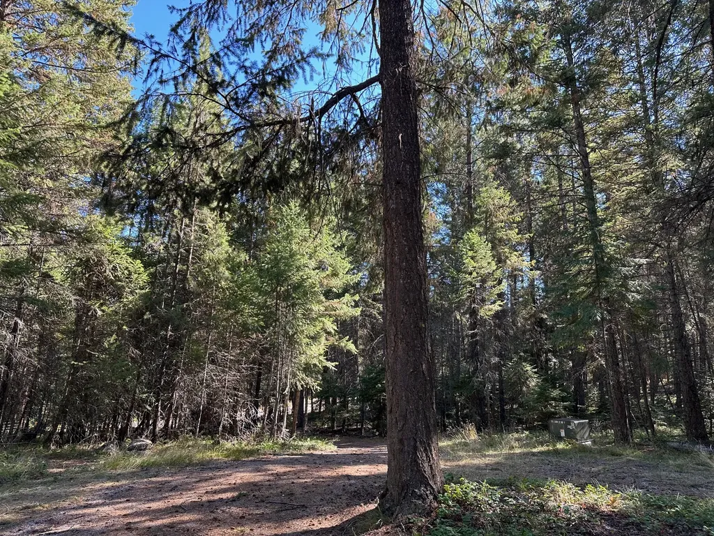 26 Tamarack Lane Thompson Falls MT 59873