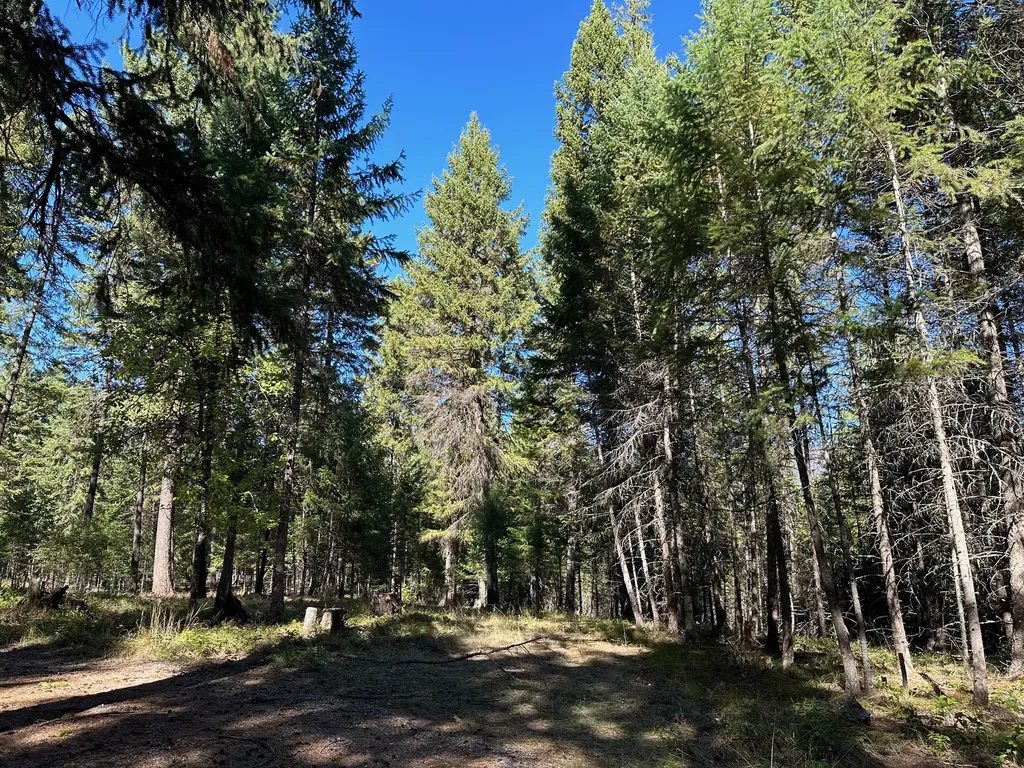 26 Tamarack Lane Thompson Falls MT 59873