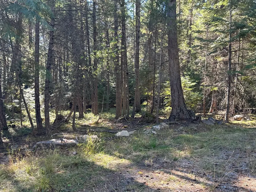 26 Tamarack Lane Thompson Falls MT 59873