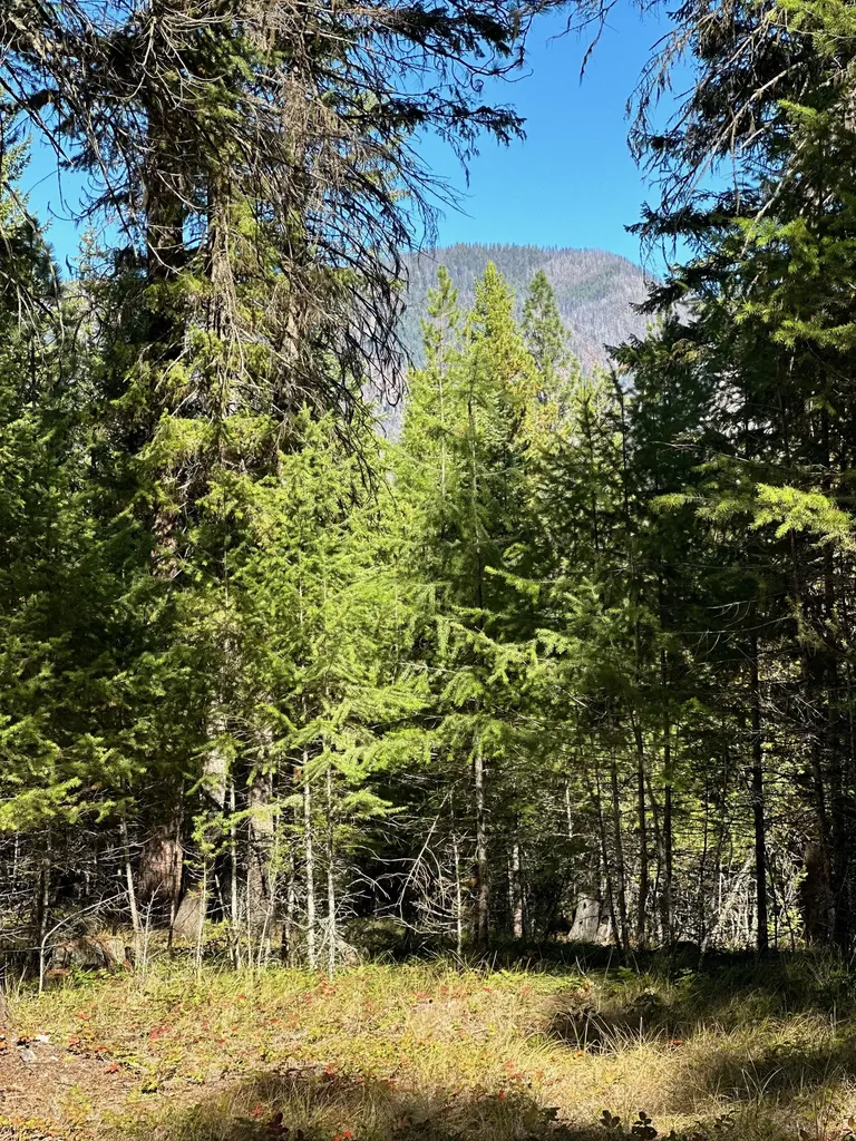 26 Tamarack Lane Thompson Falls MT 59873