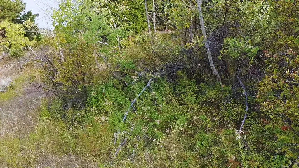 Nhn Chestnut Road Bozeman MT 59715