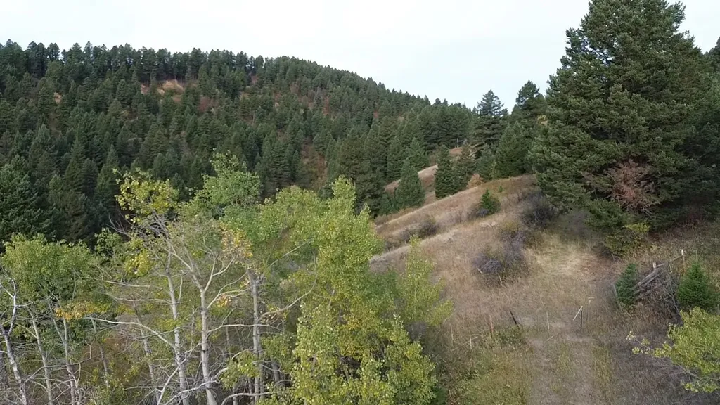 Nhn Chestnut Road Bozeman MT 59715