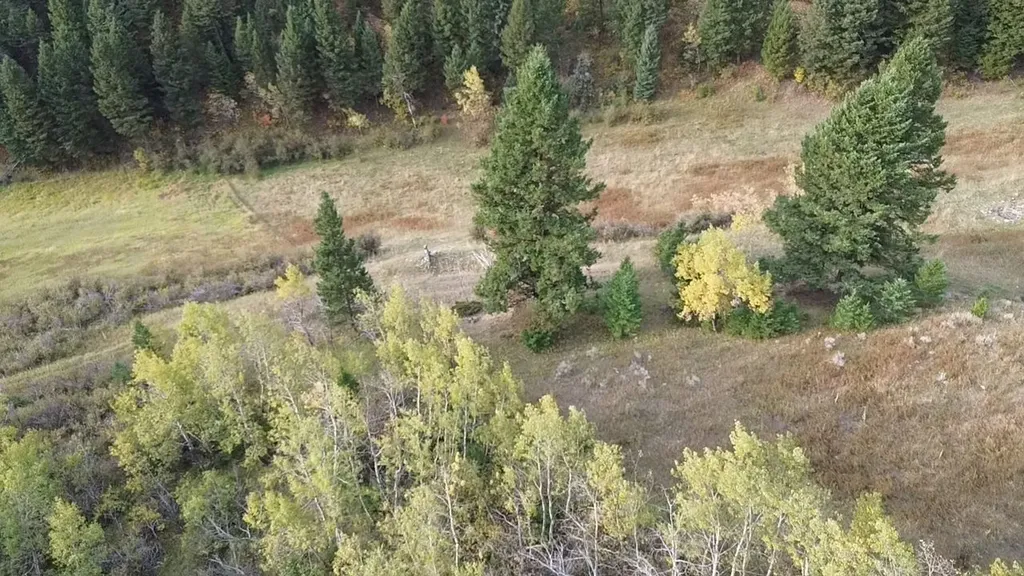Nhn Chestnut Road Bozeman MT 59715