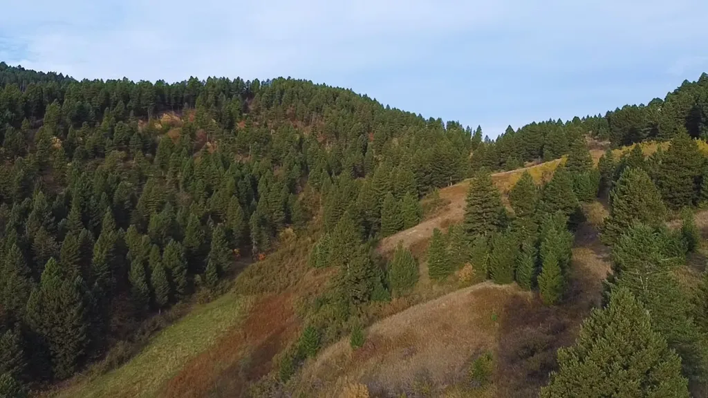 Nhn Chestnut Road Bozeman MT 59715
