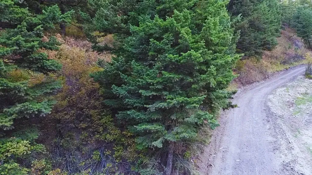Nhn Chestnut Road Bozeman MT 59715