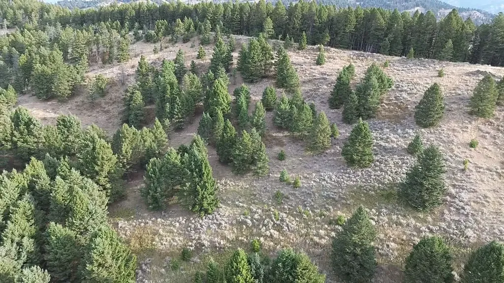 Nhn Chestnut Road Bozeman MT 59715