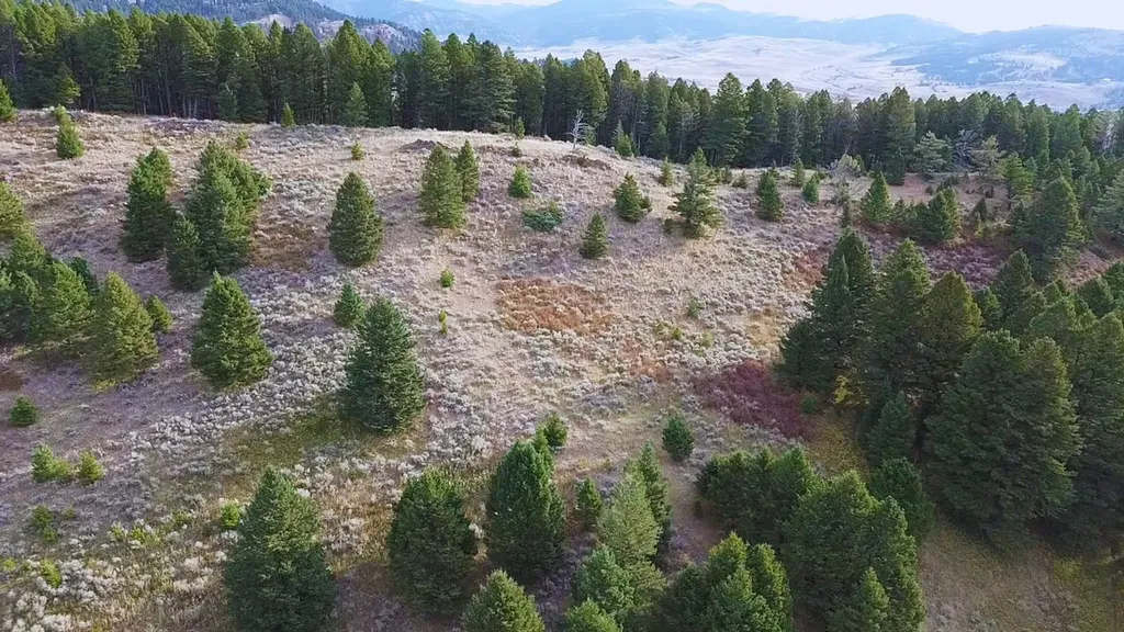 Nhn Chestnut Road Bozeman MT 59715