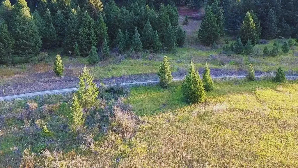 Nhn Chestnut Road Bozeman MT 59715