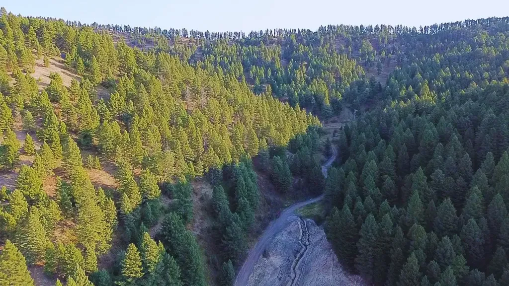 Nhn Chestnut Road Bozeman MT 59715