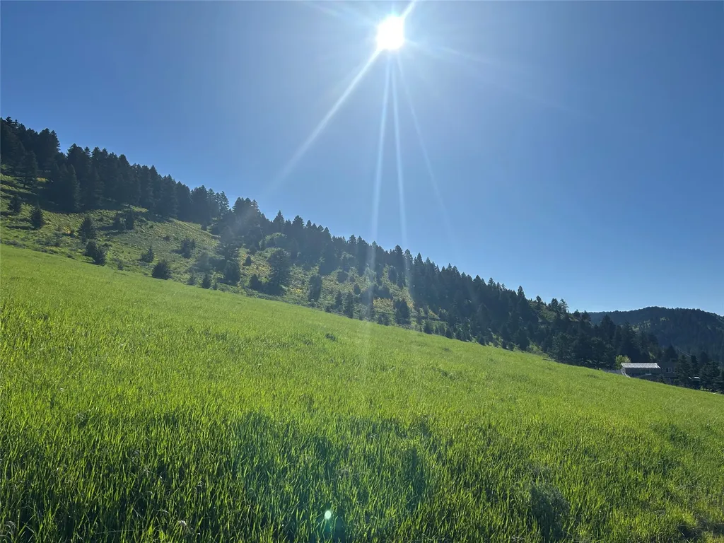 Nhn Chestnut Road Bozeman MT 59715