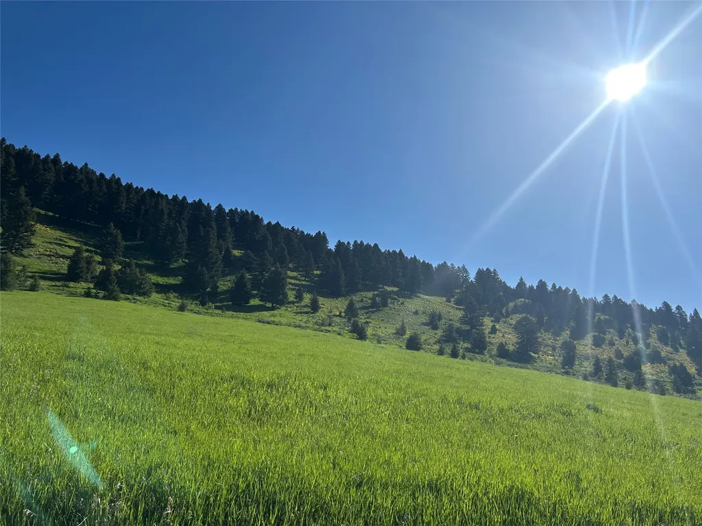 Nhn Chestnut Road Bozeman MT 59715