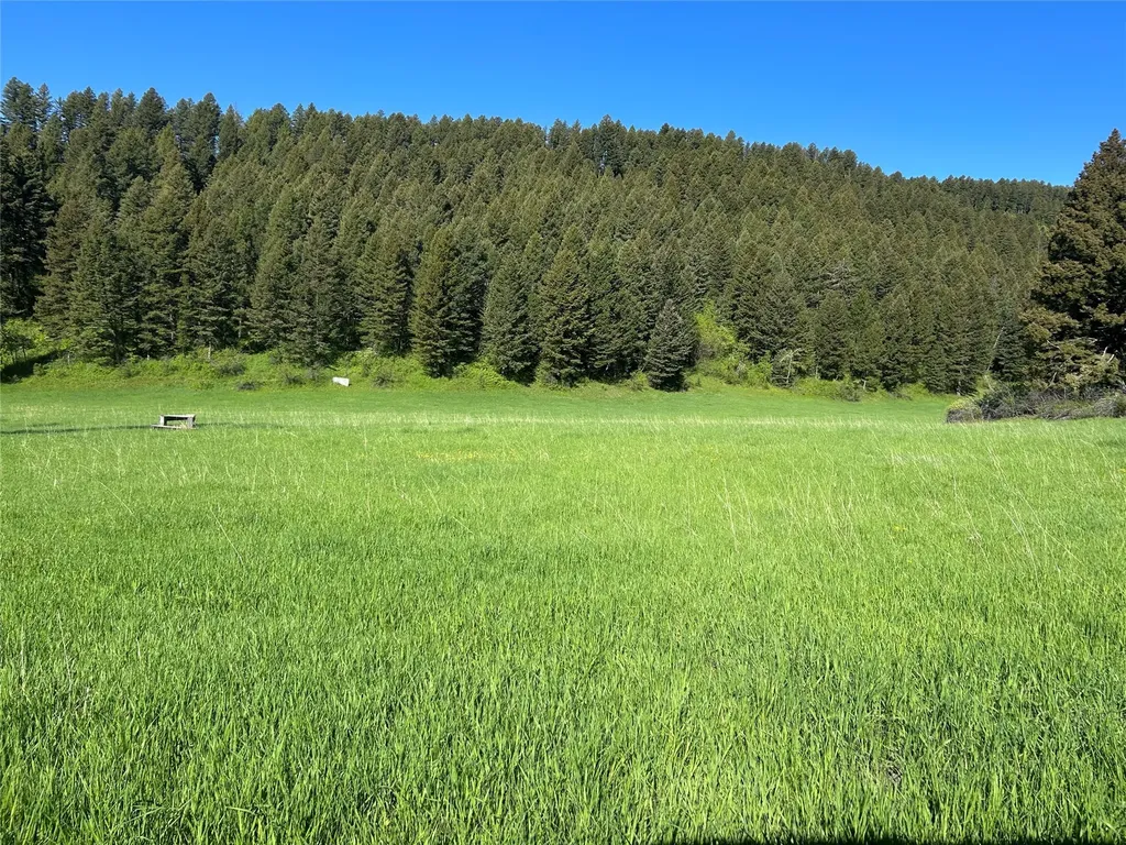 Nhn Chestnut Road Bozeman MT 59715