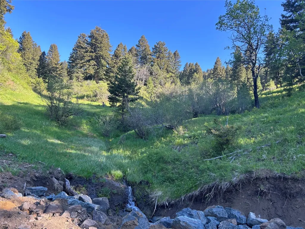 Nhn Chestnut Road Bozeman MT 59715