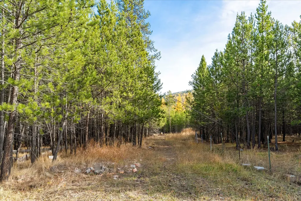 260 Old Creek Road Marion MT 59925