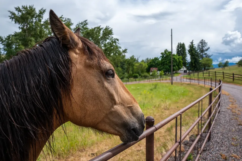 8925 Lavalle Creek Road Missoula MT 59808