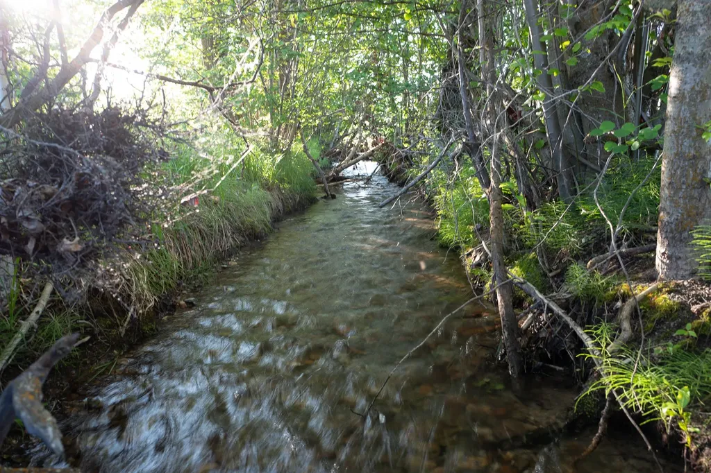 8925 Lavalle Creek Road Missoula MT 59808