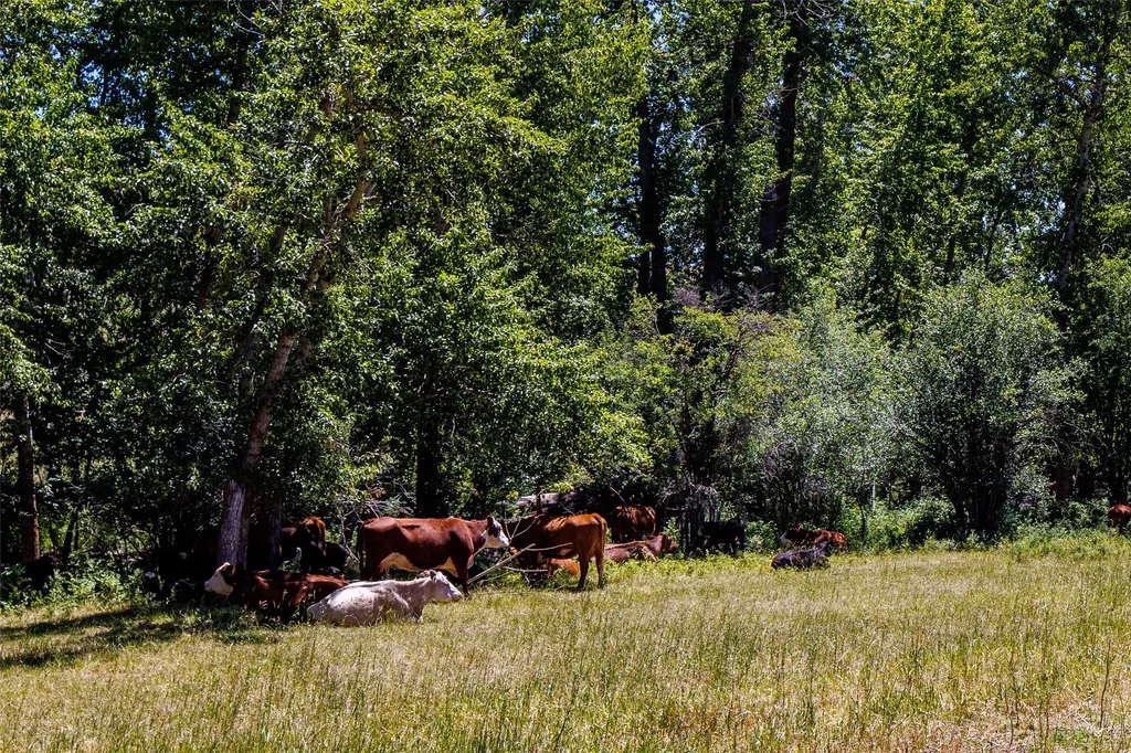 8925 Lavalle Creek Road Missoula MT 59808