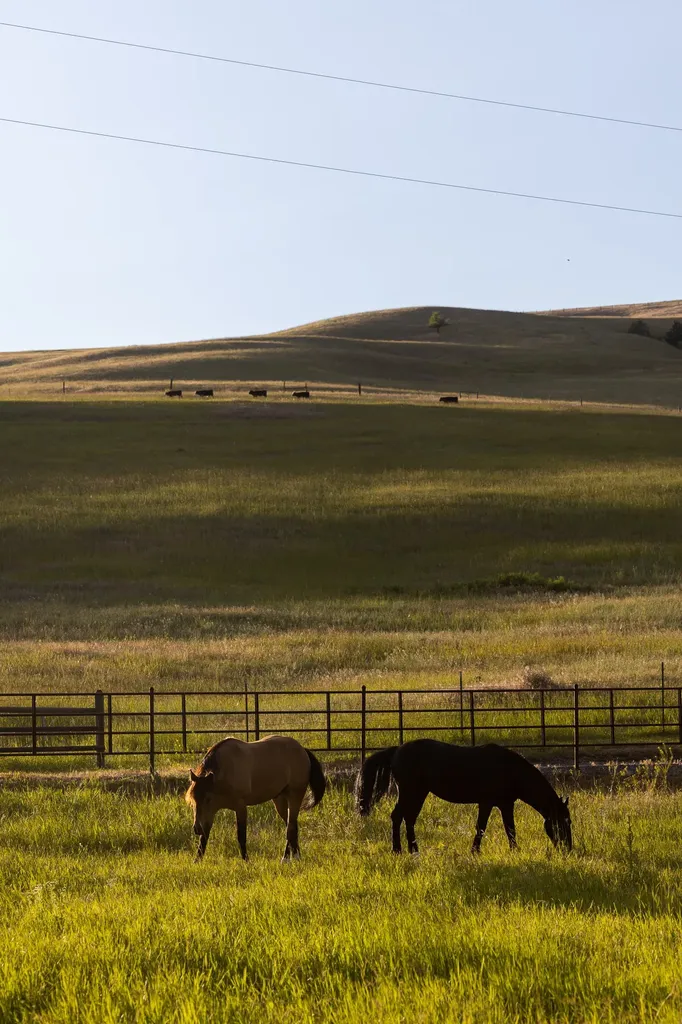 8925 Lavalle Creek Road Missoula MT 59808