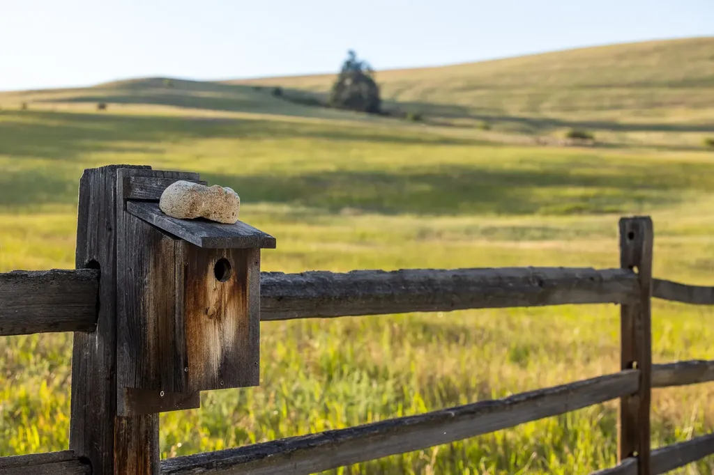 8925 Lavalle Creek Road Missoula MT 59808