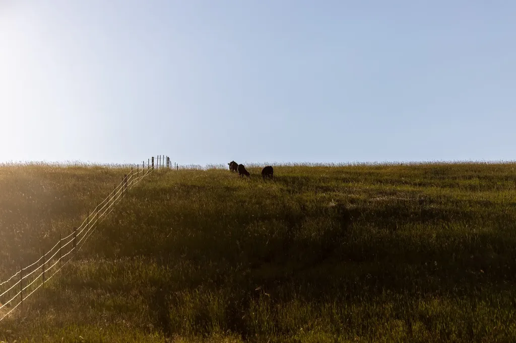 8925 Lavalle Creek Road Missoula MT 59808