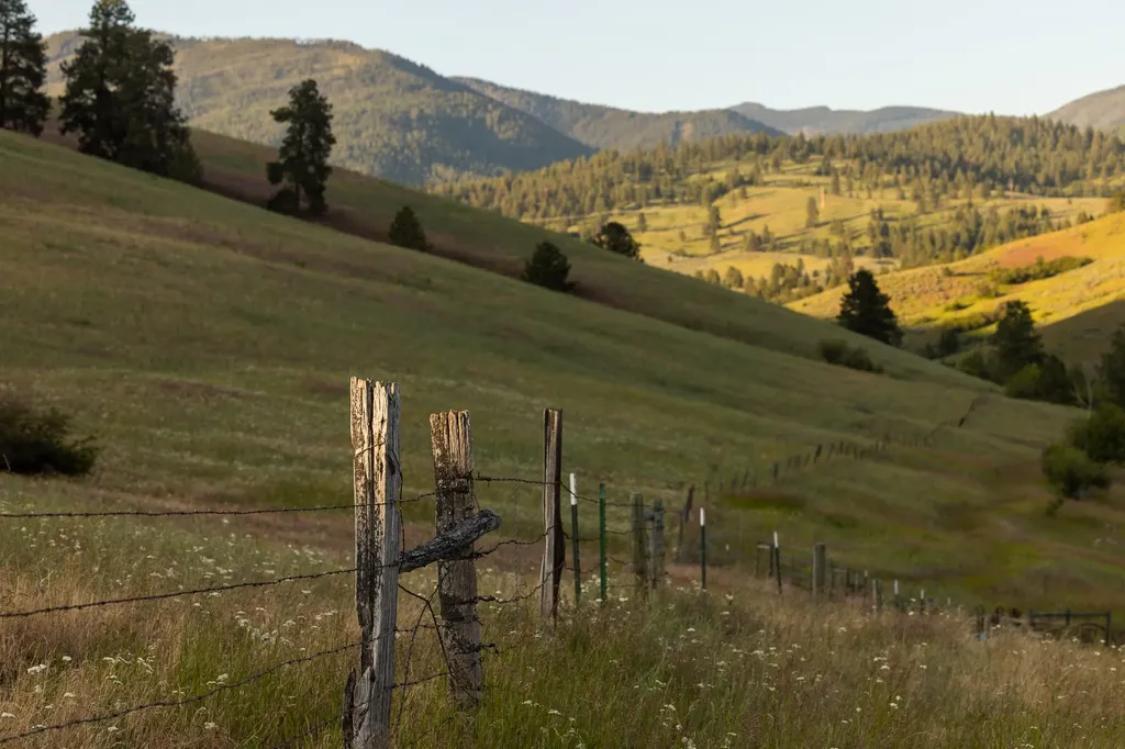 8925 Lavalle Creek Road Missoula MT 59808