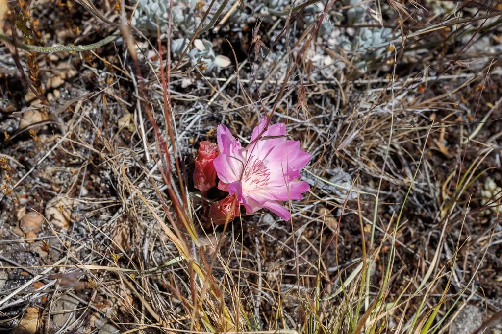8925 Lavalle Creek Road Missoula MT 59808