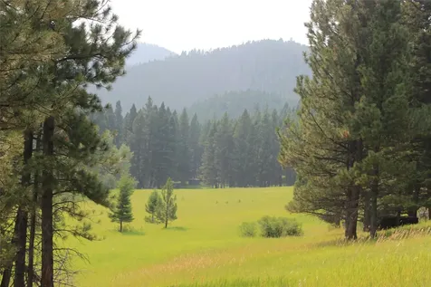 2050 Colorado Gulch Drive Helena MT 59601