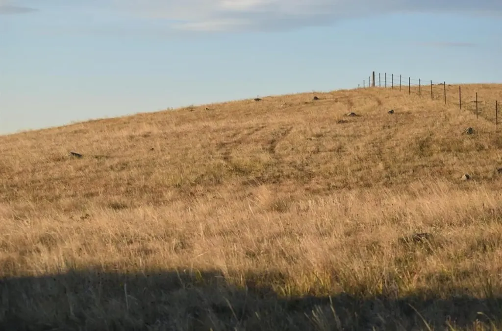 Nhn W Pishkun Lane Augusta MT 59410