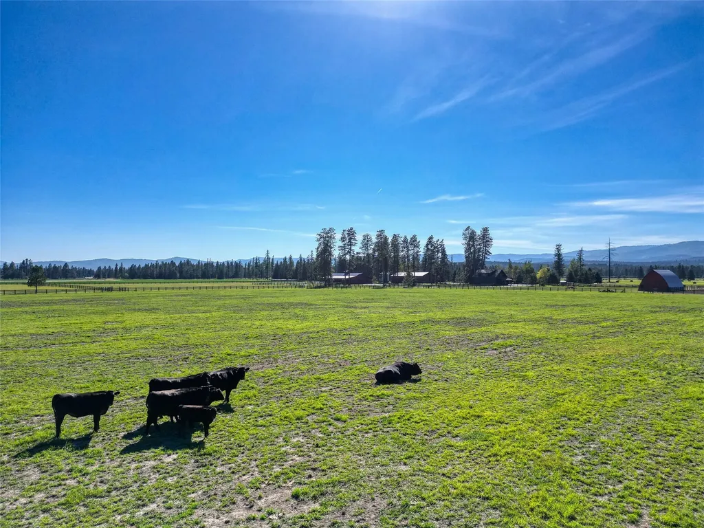 1212 Spring Prairie Ranch Road Whitefish MT 59937