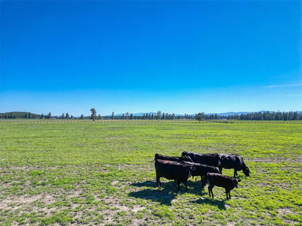 1212 Spring Prairie Ranch Road Whitefish MT 59937