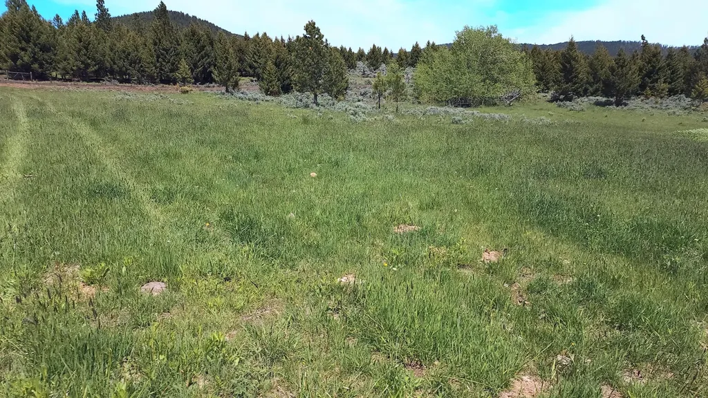 #8 Nevada Creek Ranch Tract 8, 160 Acres +/- Helmville MT 59843