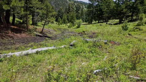 #5 Nevada Creek Ranch, Tract, 209.29 +/- Helmville MT 59843