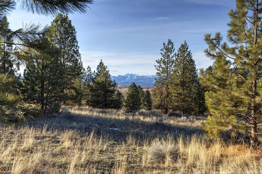 000 Stock Farm Road Hamilton MT 59840