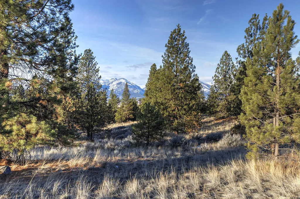 000 Stock Farm Road Hamilton MT 59840