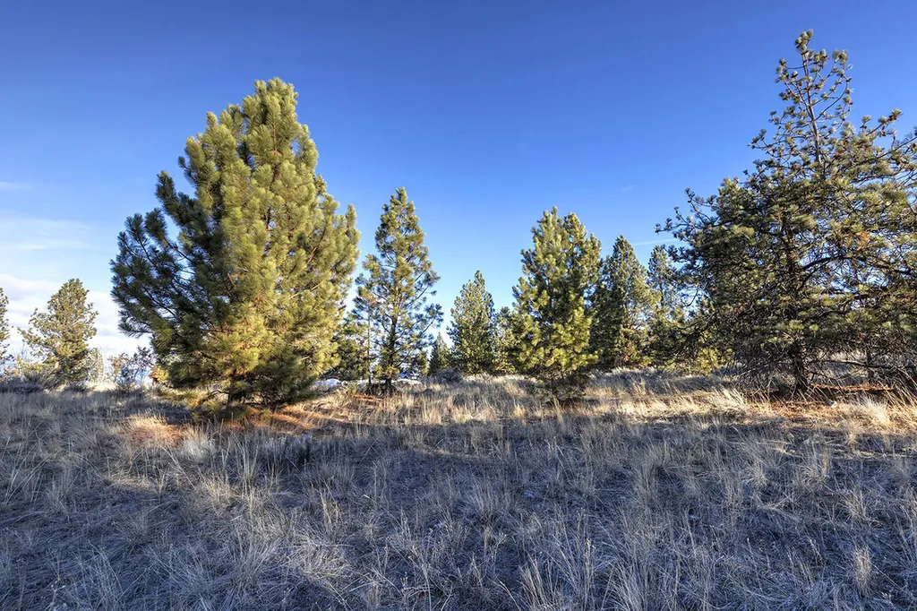 000 Stock Farm Road Hamilton MT 59840