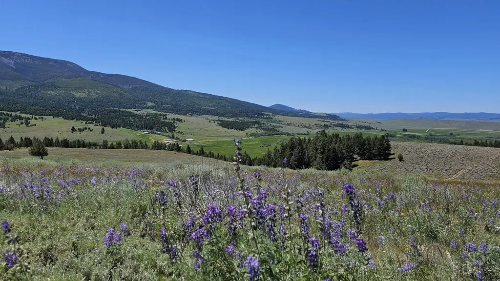 #4 Nevada Creek Ranch, Tract, 201.61 +/- Acres Helmville MT 59843