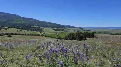 #4 Nevada Creek Ranch, Tract, 201.61 +/- Acres Helmville MT 59843