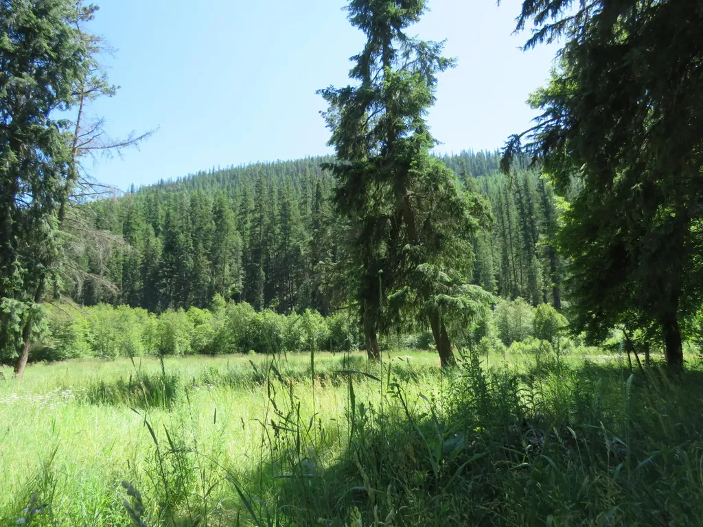 2013 Five Mile Creek Road Libby MT 59923