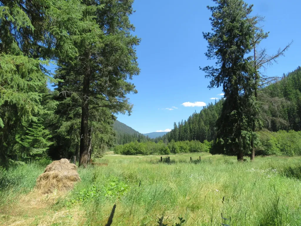 2013 Five Mile Creek Road Libby MT 59923