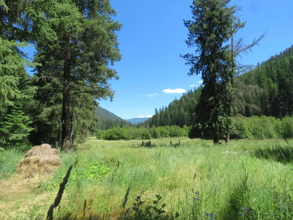 2013 Five Mile Creek Road Libby MT 59923