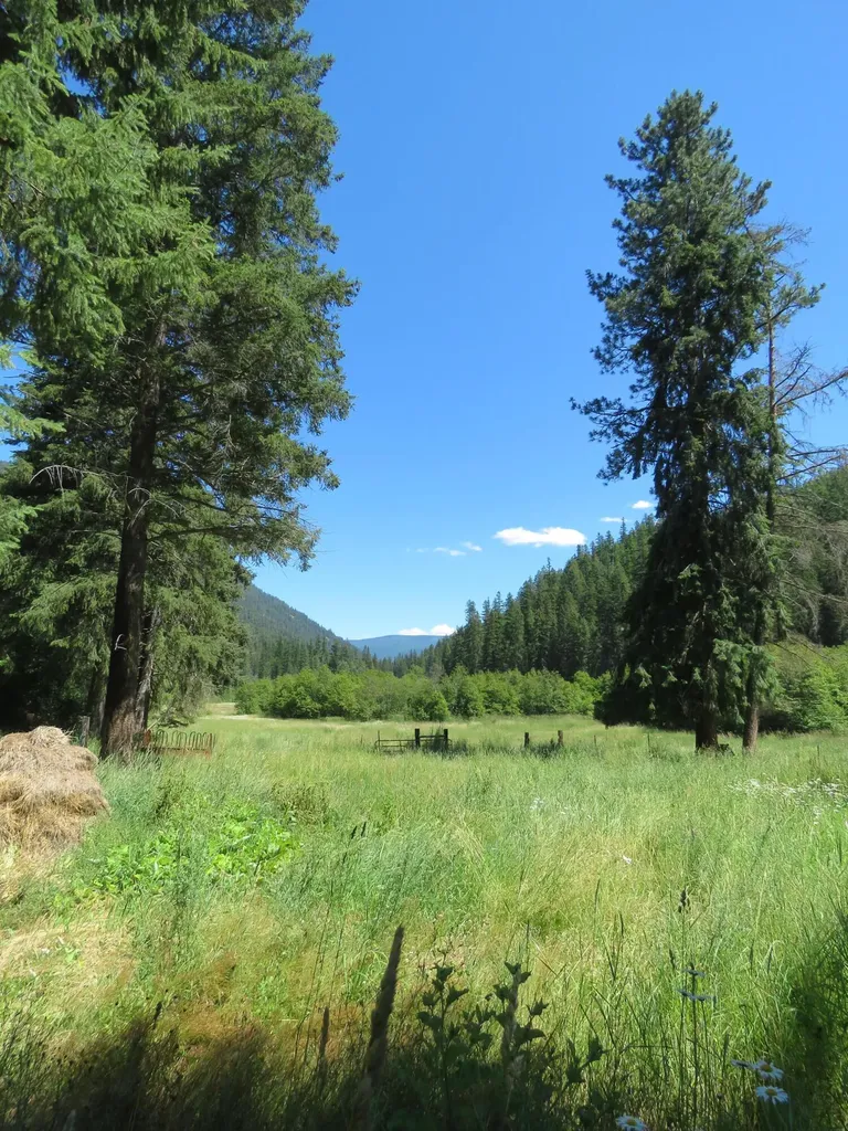 2013 Five Mile Creek Road Libby MT 59923