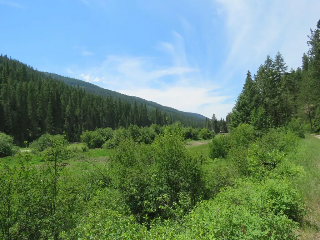 2013 Five Mile Creek Road Libby MT 59923
