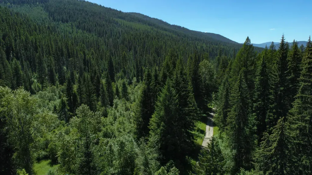 2013 Five Mile Creek Road Libby MT 59923